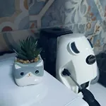 The White Cat *