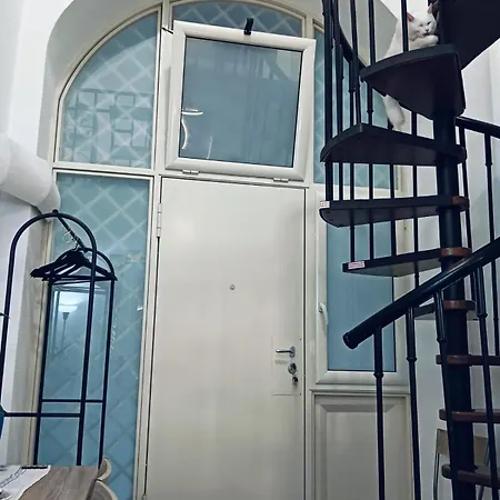 Nyaraló The White Cat