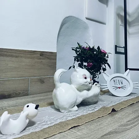 Dom wakacyjny The White Cat *
