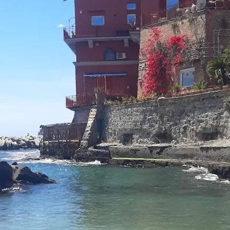 The White Cat * 나폴리