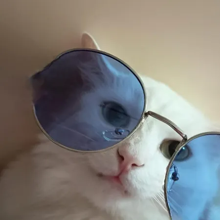 度假居 The White Cat 那不勒斯