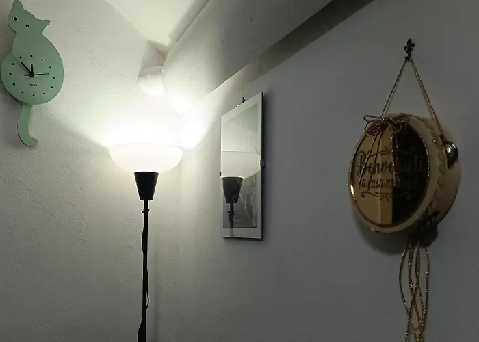 The White Cat 펜션