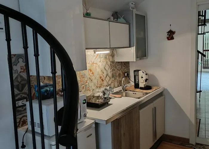 펜션 The White Cat *