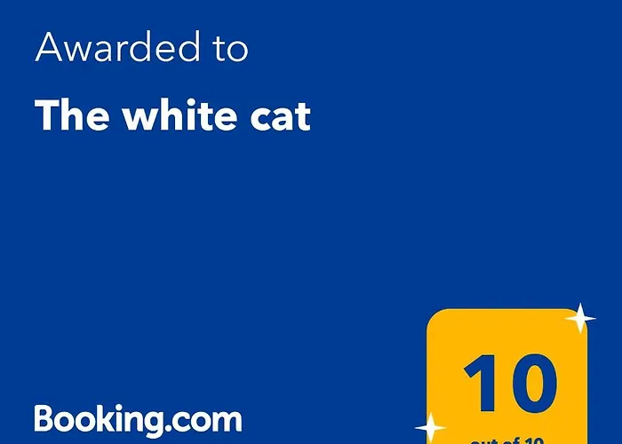 بيت للعطل The White Cat *