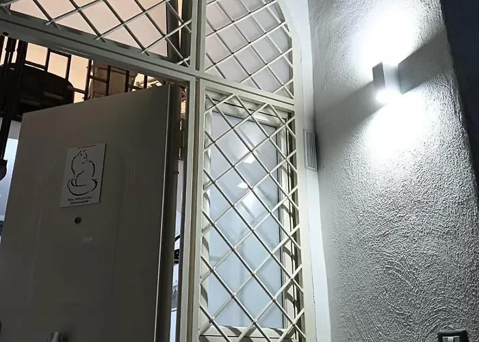 The White Cat 펜션 *