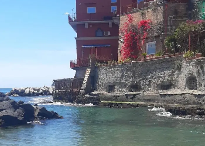 The White Cat * 나폴리