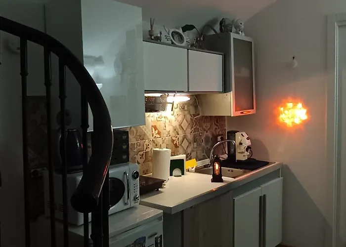 펜션 The White Cat *